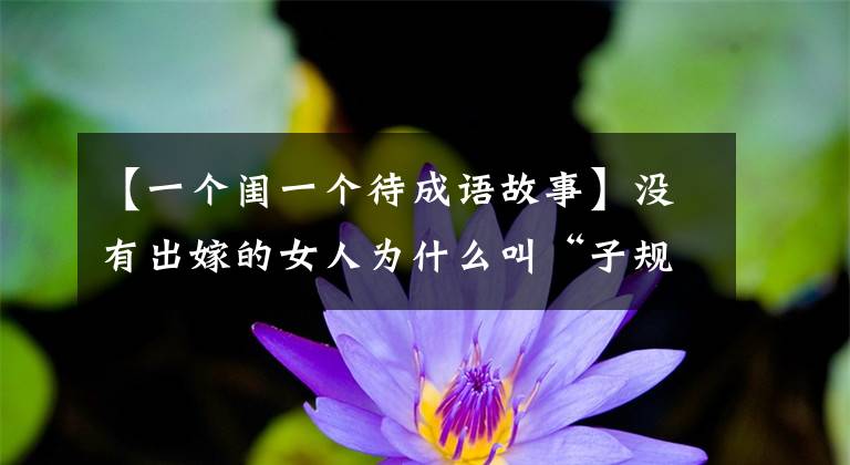 【一个闺一个待成语故事】没有出嫁的女人为什么叫“子规中”？