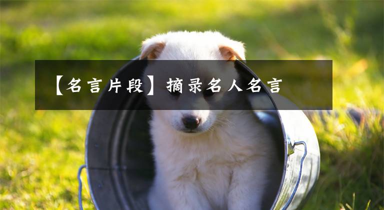 【名言片段】摘录名人名言