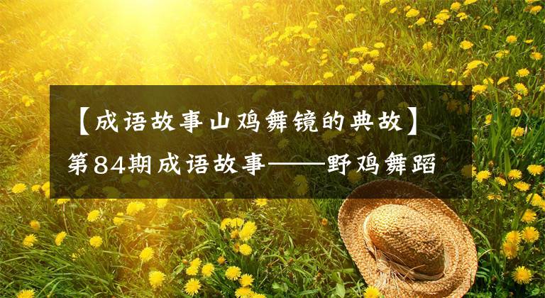 【成语故事山鸡舞镜的典故】第84期成语故事——野鸡舞蹈经松柏的智谋