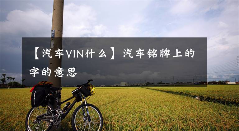 【汽车VIN什么】汽车铭牌上的字的意思