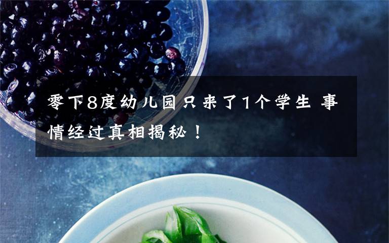 零下8度幼儿园只来了1个学生 事情经过真相揭秘!