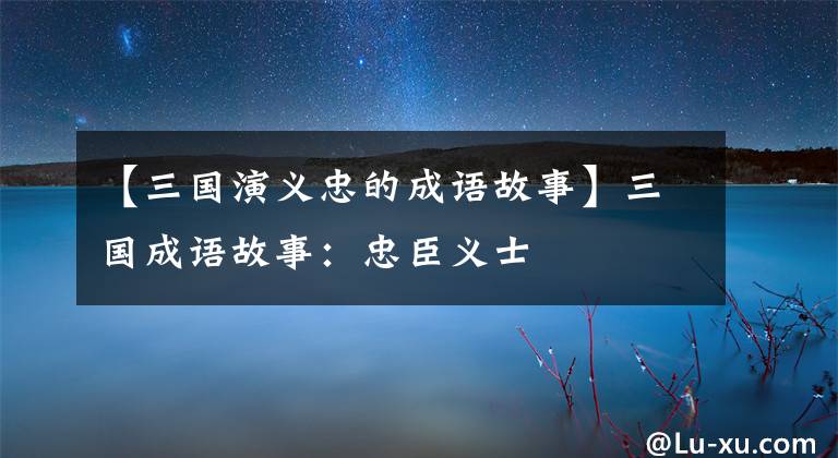 【三国演义忠的成语故事】三国成语故事：忠臣义士