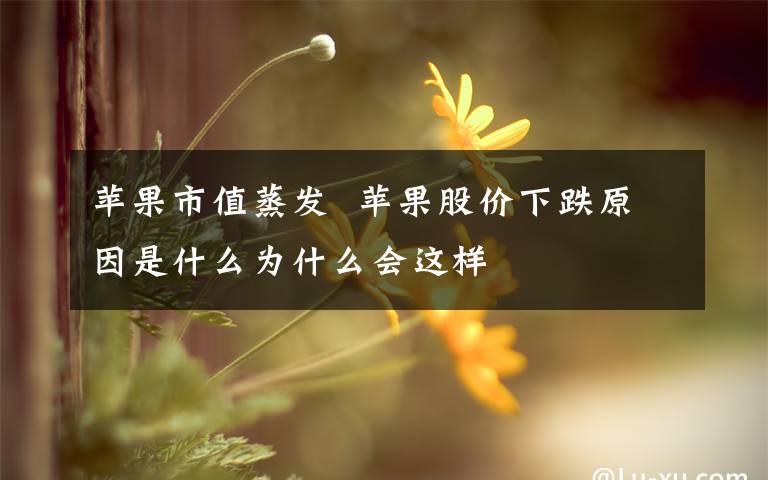 苹果市值蒸发  苹果股价下跌原因是什么为什么会这样