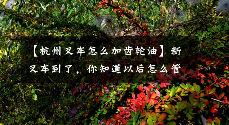 【杭州叉车怎么加齿轮油】新叉车到了，你知道以后怎么管理吗？在这里说话！