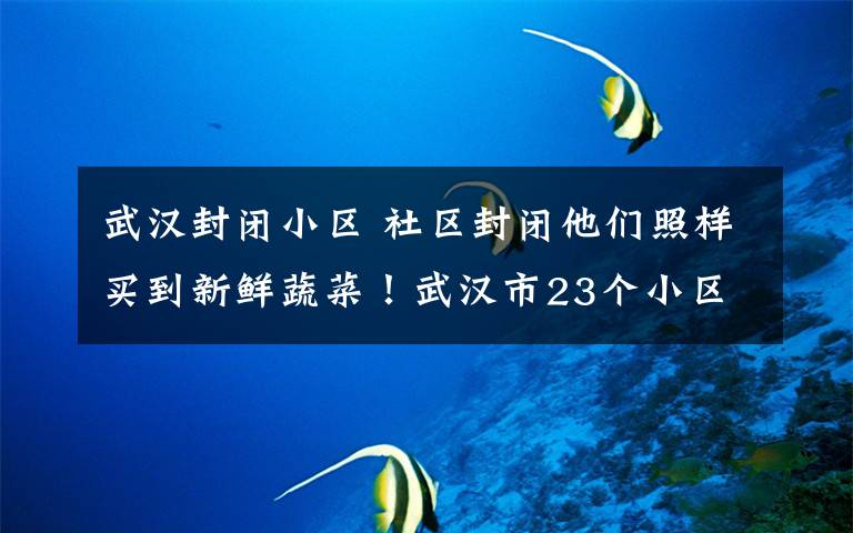 武汉封闭小区 社区封闭他们照样买到新鲜蔬菜!武汉市23个小区设立“隔空”菜场