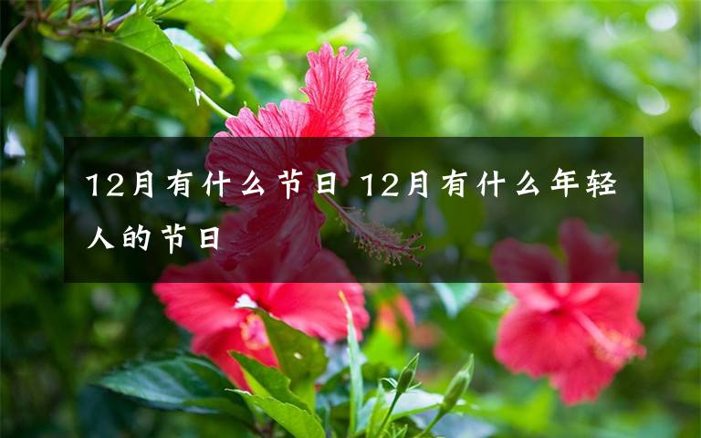 12月有什么节日 12月有什么年轻人的节日