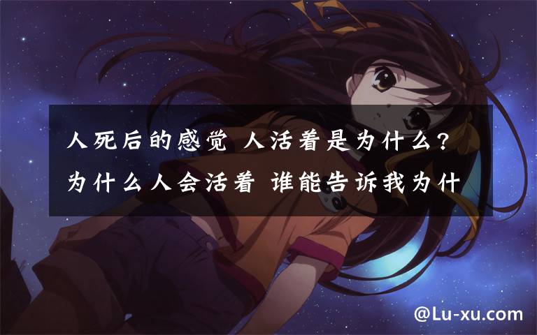 人死后的感觉 人活着是为什么?为什么人会活着 谁能告诉我为什么 人有自己的意识 人死了是什么感受的