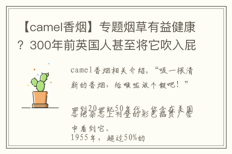 【camel香烟】专题烟草有益健康?300年前英国人甚至将它吹入屁股来做心肺复苏