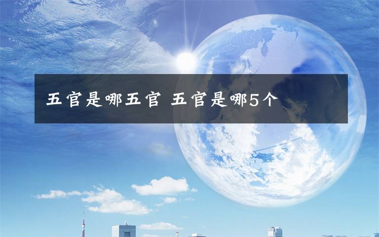 五官是哪五官 五官是哪5个