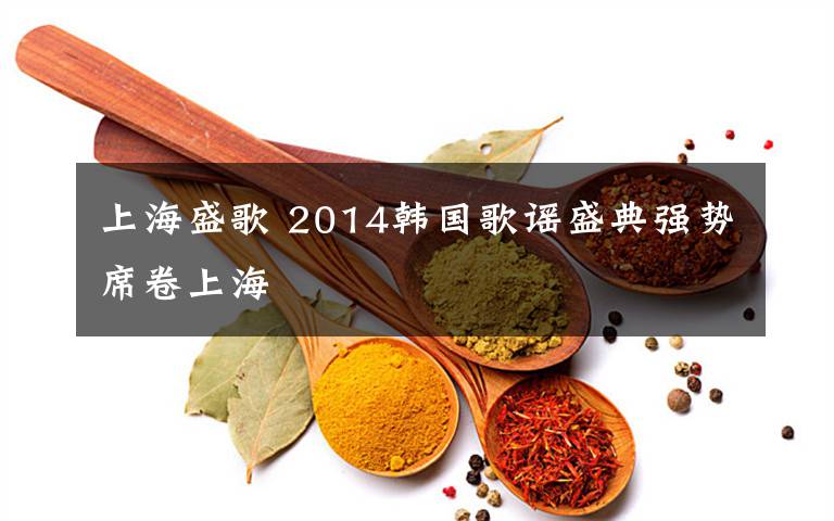 上海盛歌 2014韩国歌谣盛典强势席卷上海