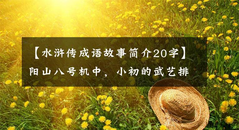 【水浒传成语故事简介20字】阳山八号机中,小初的武艺排名是第几位?答案一目了然