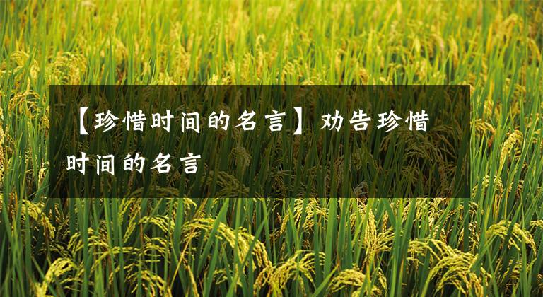 【珍惜时间的名言】劝告珍惜时间的名言