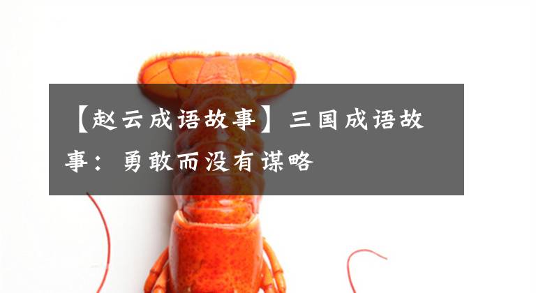 【赵云成语故事】三国成语故事:勇敢而没有谋略