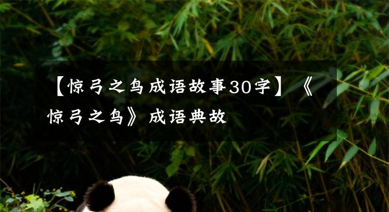 【惊弓之鸟成语故事30字】《惊弓之鸟》成语典故