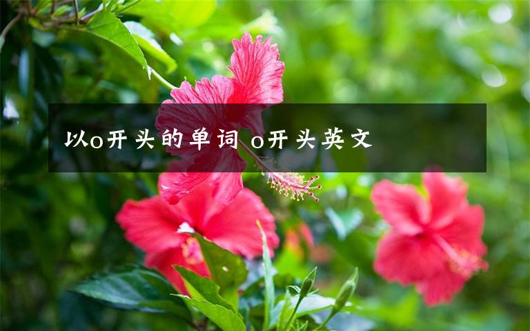 以o开头的单词 o开头英文