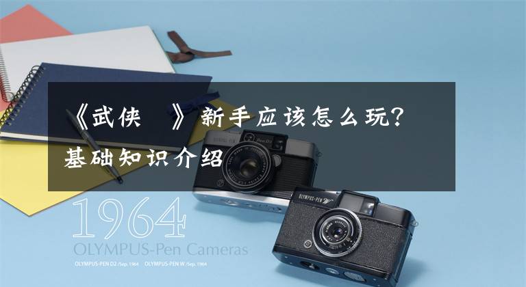 《武侠乂》新手应该怎么玩?基础知识介绍