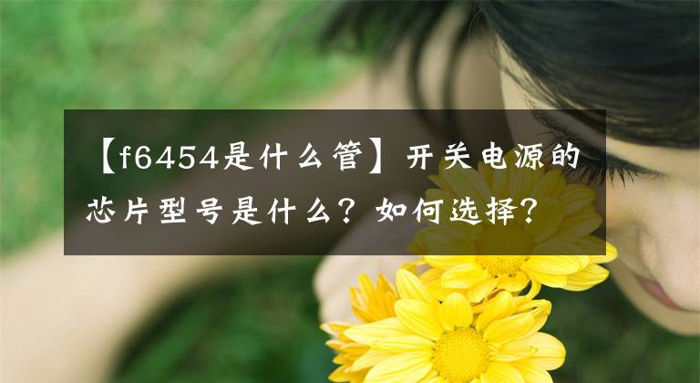 【f6454是什么管】开关电源的芯片型号是什么？如何选择？