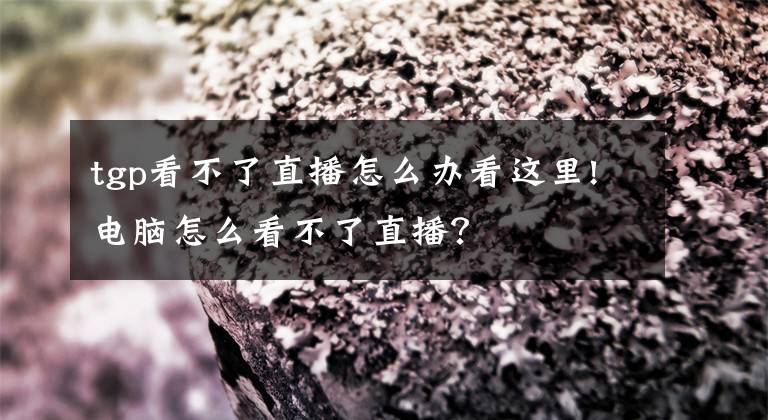 tgp看不了直播怎么办看这里!电脑怎么看不了直播?