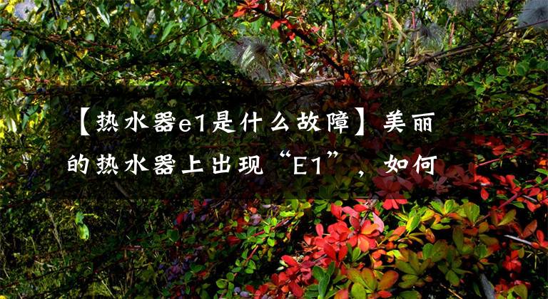 【热水器e1是什么故障】美丽的热水器上出现“E1”,如何修理解决?
