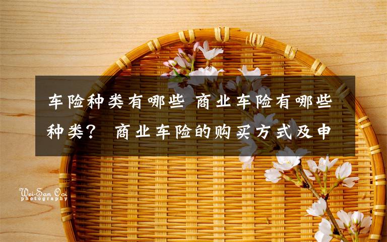 车险种类有哪些 商业车险有哪些种类? 商业车险的购买方式及申保流程