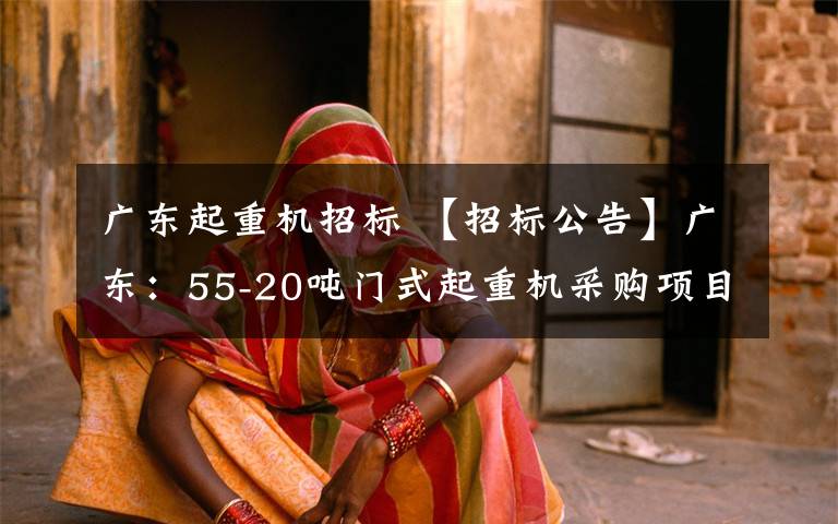 广东起重机招标 【招标公告】广东:55-20吨门式起重机采购项目公开招标公告