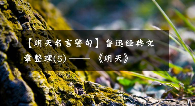 【明天名言警句】鲁迅经典文章整理(5) —— 《明天》