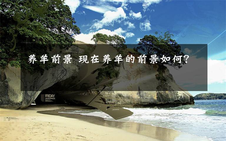 养羊前景 现在养羊的前景如何？