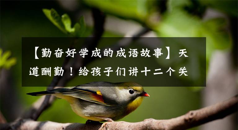 【勤奋好学成的成语故事】天道酬勤！给孩子们讲十二个关于勤奋的小故事，让他们学习