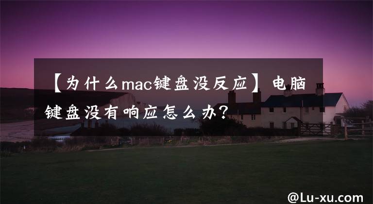 【为什么mac键盘没反应】电脑键盘没有响应怎么办?