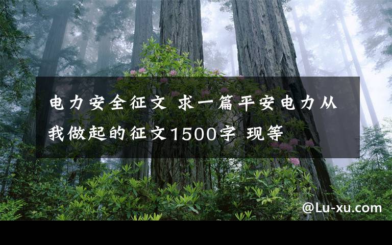 电力安全征文 求一篇平安电力从我做起的征文1500字 现等