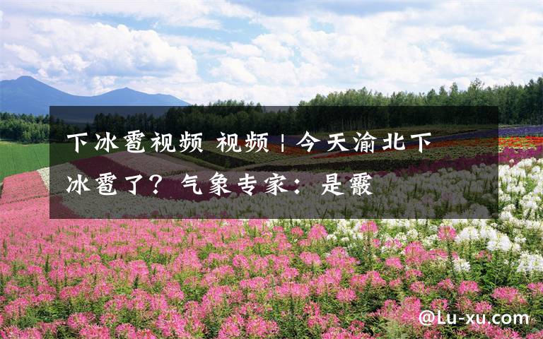 下冰雹视频 视频 | 今天渝北下冰雹了？气象专家：是霰