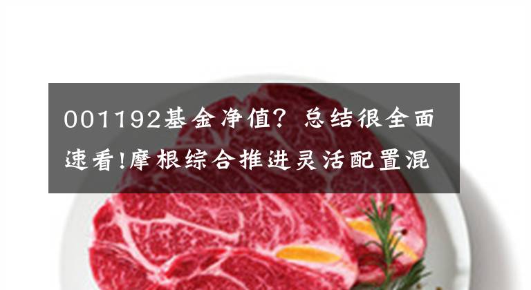 001192基金净值?总结很全面速看!摩根综合推进灵活配置混合基金的最新净值跌幅达到了3.12%。