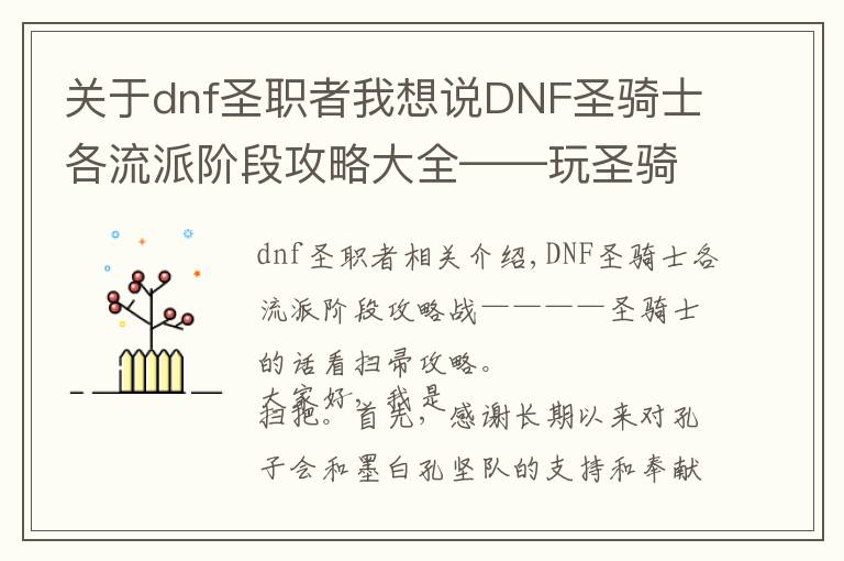 关于dnf圣职者我想说DNF圣骑士各流派阶段攻略大全——玩圣骑士就看扫把攻略