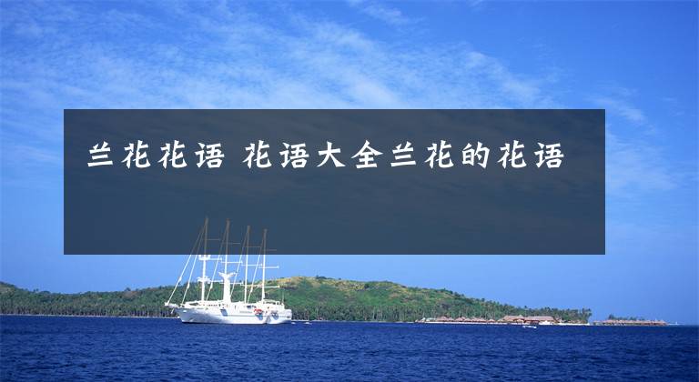 兰花花语 花语大全兰花的花语