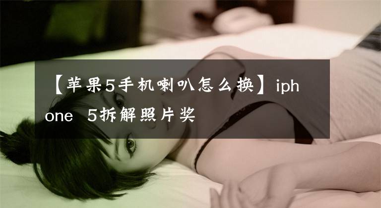 【苹果5手机喇叭怎么换】iphone 5拆解照片奖
