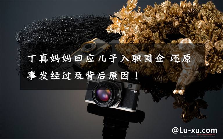 丁真妈妈回应儿子入职国企 还原事发经过及背后原因!
