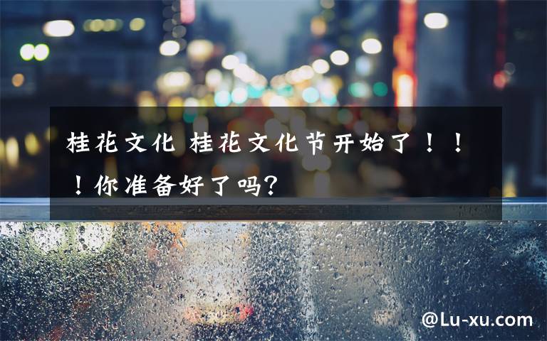 桂花文化 桂花文化节开始了!!!你准备好了吗?