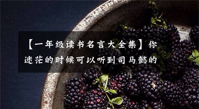 【一年级读书名言大全集】你迷茫的时候可以听到司马懿的人生格言
