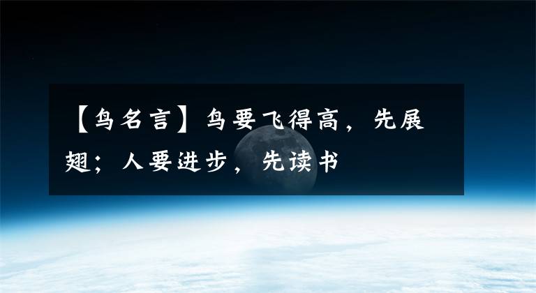 【鸟名言】鸟要飞得高，先展翅；人要进步，先读书