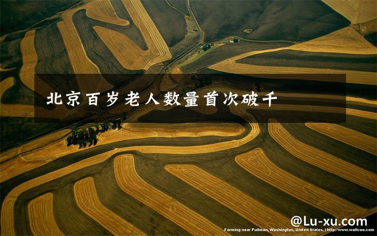 北京百岁老人数量首次破千