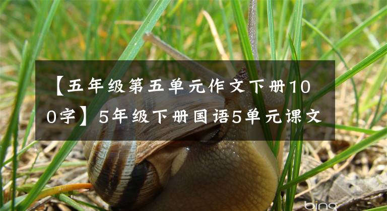 【五年级第五单元作文下册100字】5年级下册国语5单元课文知识梳理课练习，单元习作指导