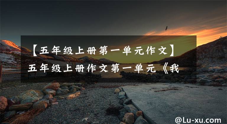 【五年级上册第一单元作文】五年级上册作文第一单元《我的心爱之物》范文