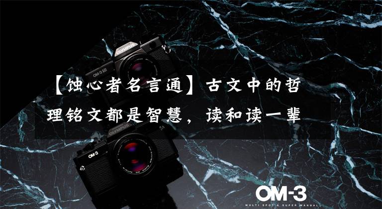 【蚀心者名言通】古文中的哲理铭文都是智慧,读和读一辈子受益
