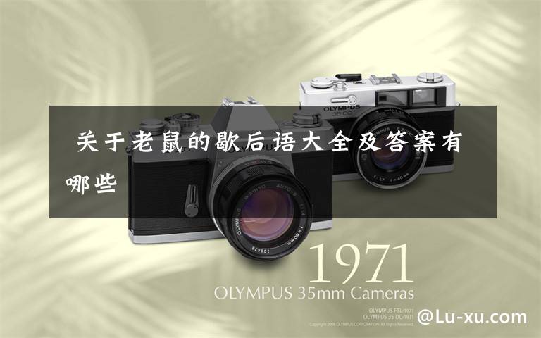 关于老鼠的歇后语大全及答案有哪些