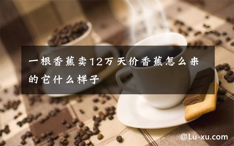 一根香蕉卖12万天价香蕉怎么来的它什么样子