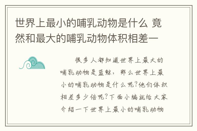 世界上最小的哺乳动物是什么 竟然和最大的哺乳动物体积相差一亿倍!