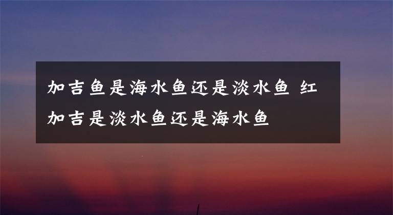 加吉鱼是海水鱼还是淡水鱼 红加吉是淡水鱼还是海水鱼
