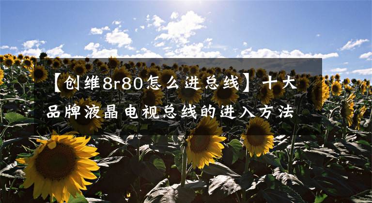 【创维8r80怎么进总线】十大品牌液晶电视总线的进入方法与调整