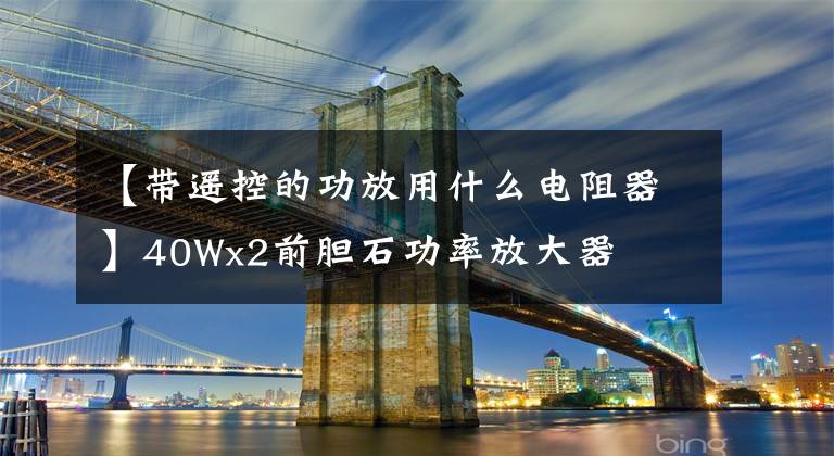 【带遥控的功放用什么电阻器】40Wx2前胆石功率放大器
