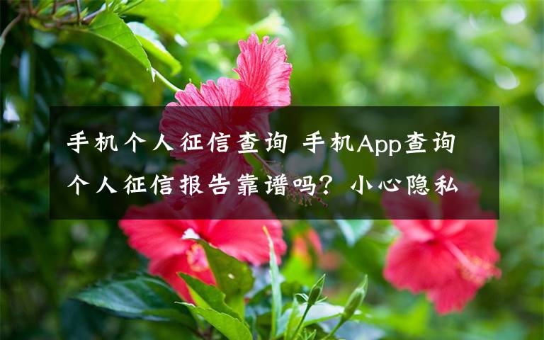 手机个人征信查询 手机App查询个人征信报告靠谱吗?小心隐私泄露